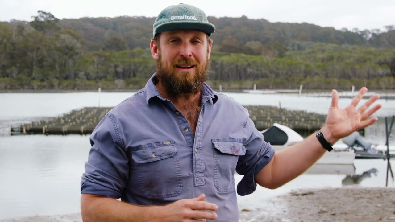 10.  Quality assurance - NSW Farmers 1080p