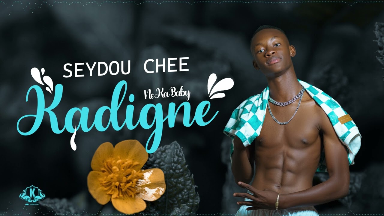 SEYDOU CHEE - NE KA BABY KADIGNE