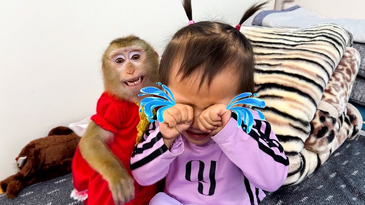 Monkey Kaka became a fool when her saw Diem pretending to cry