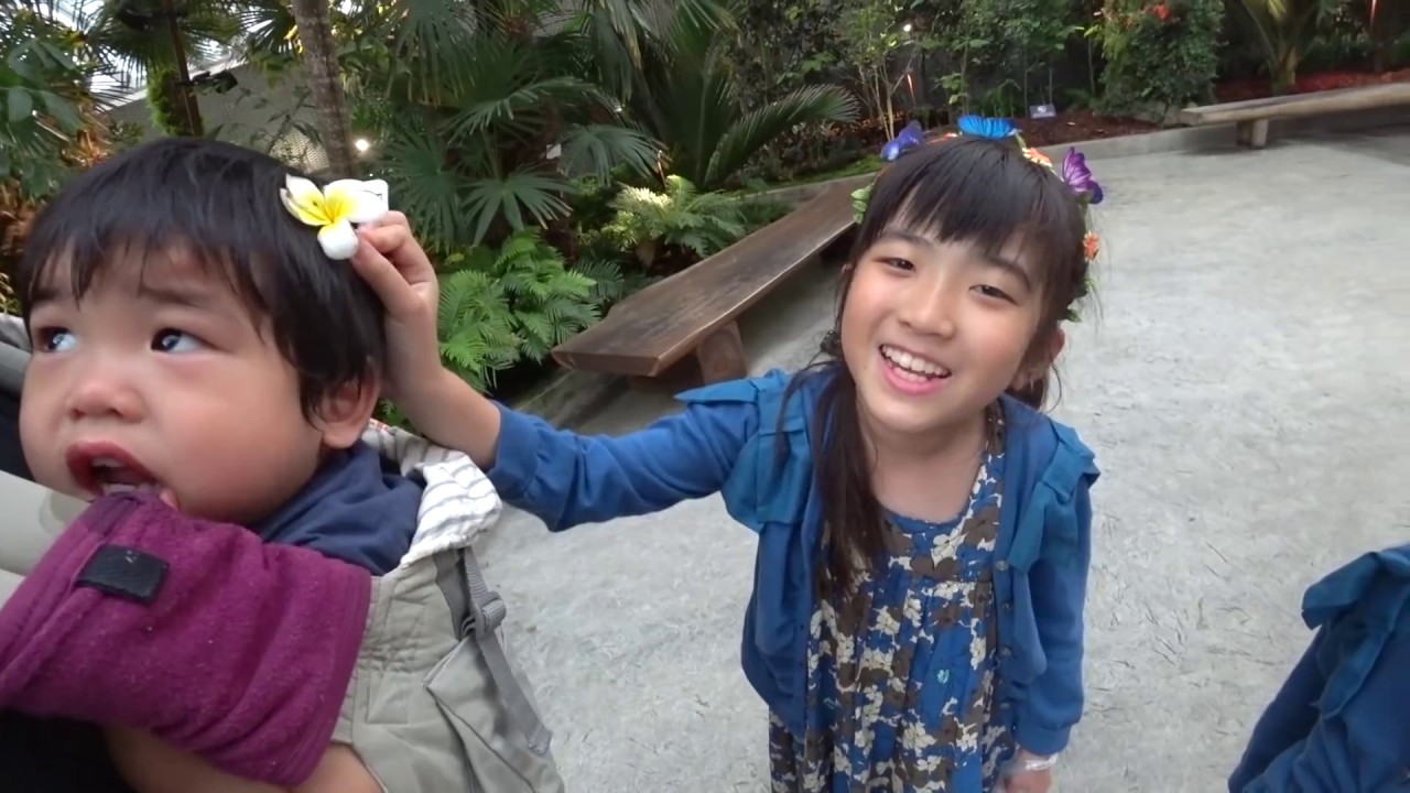 アスレチックやお花がいっぱい！ガーデンズバイザベイ
