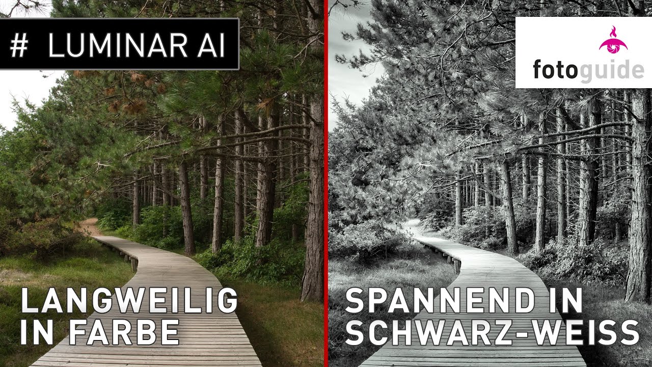 Luminar AI # : Langweilig in Farbe? Spannend in Schwarz-Weiß!
