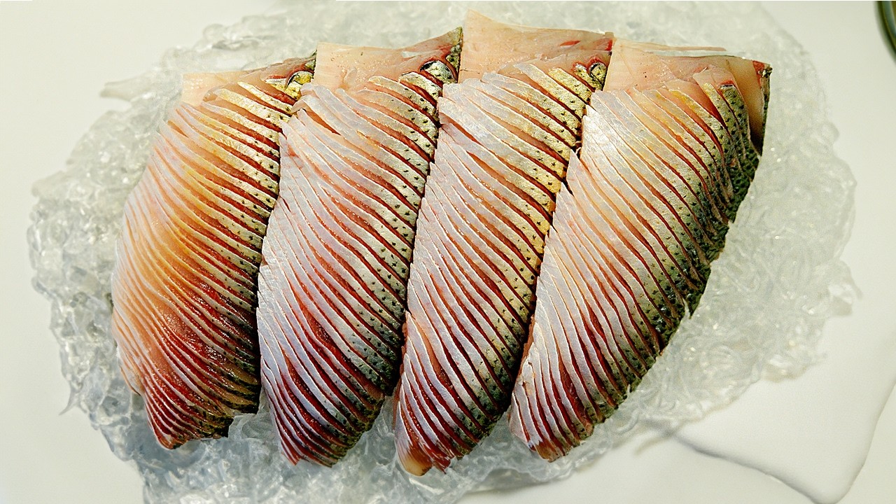 전어 먹다 극락 갔습니다. 칼질이 예술인 진짜 찐 맛 횟집을 공개합니다.