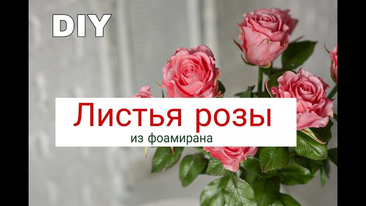 Как сделать листья розы | Роза из фоамирана