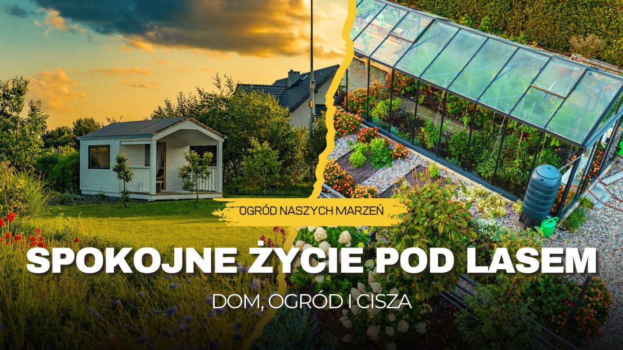 Spokojne życie pod lasem &ndash; ogr&oacute;d i dom w środku lata 2025