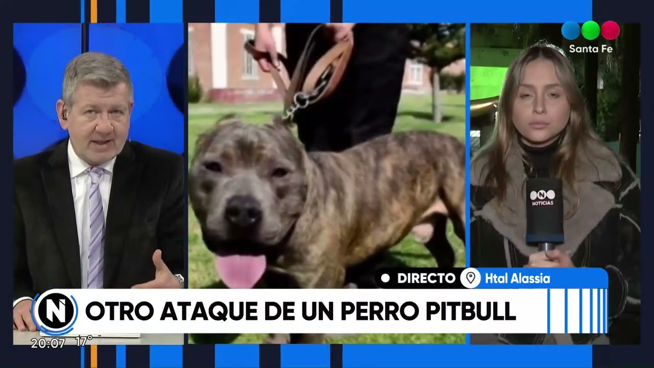 Móvil dese el Hospital Alassia: Otro ataque de un perro pitbull