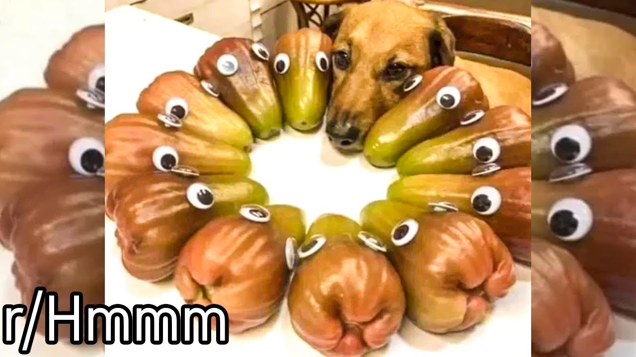 r/Hmmm | What happened here...?