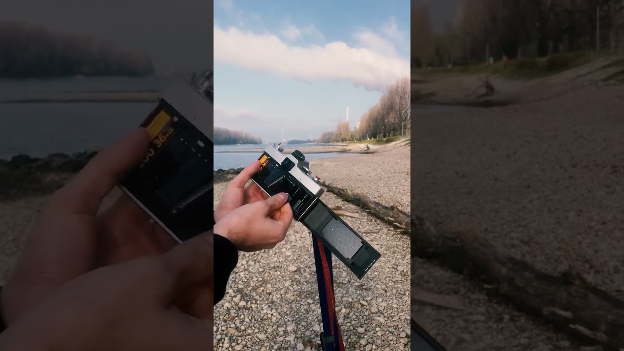 Capturing Memories: Kodak Gold 200 x Minolta SRT 101 at the Rhine 🌊📸 #classiccamera