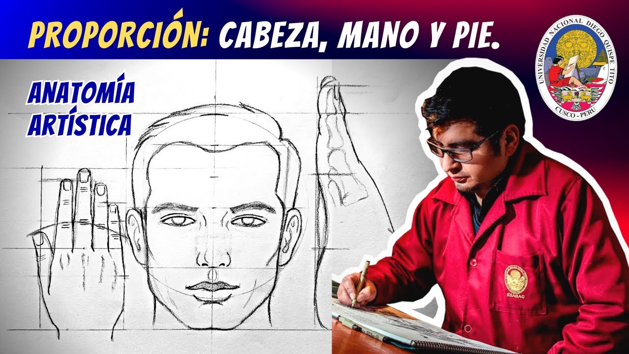 ANATOMÍA ARTÍSTICA: Proporción Cabeza, mano y pie.