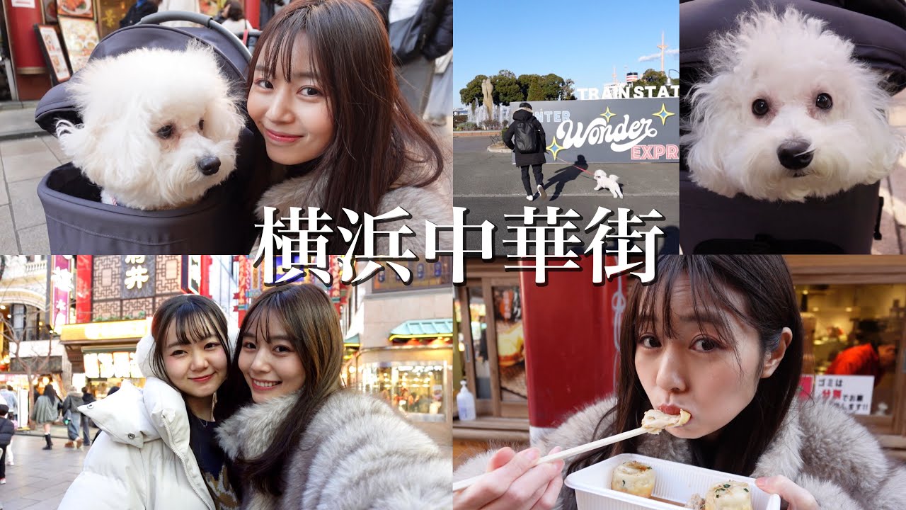 【食べ歩き】家族で爆食い旅in中華街🍜ビションフリーゼのらむねも！ゆかいな家族全員集合【横浜中華街】