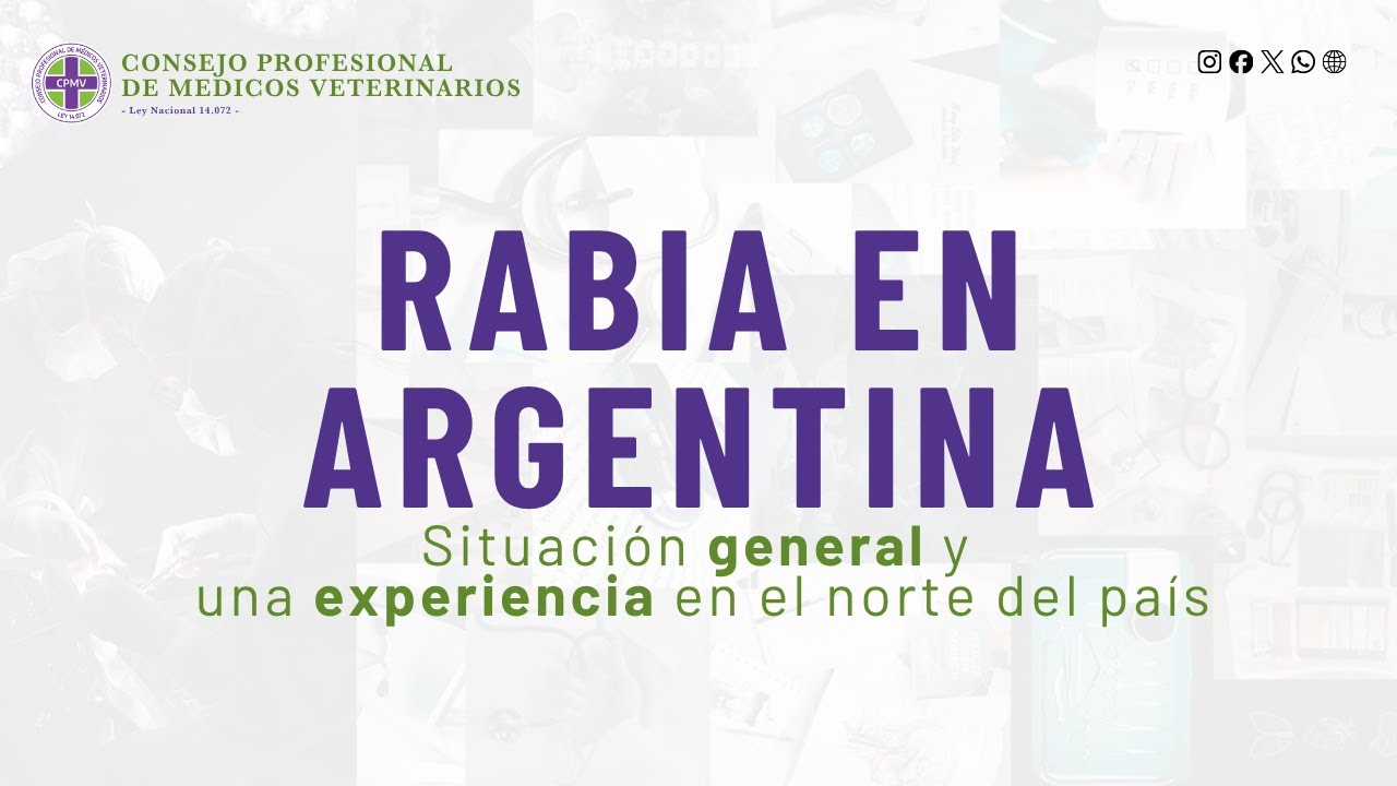 RABIA EN ARGENTINA - Situación general y una experiencia en el norte del país.