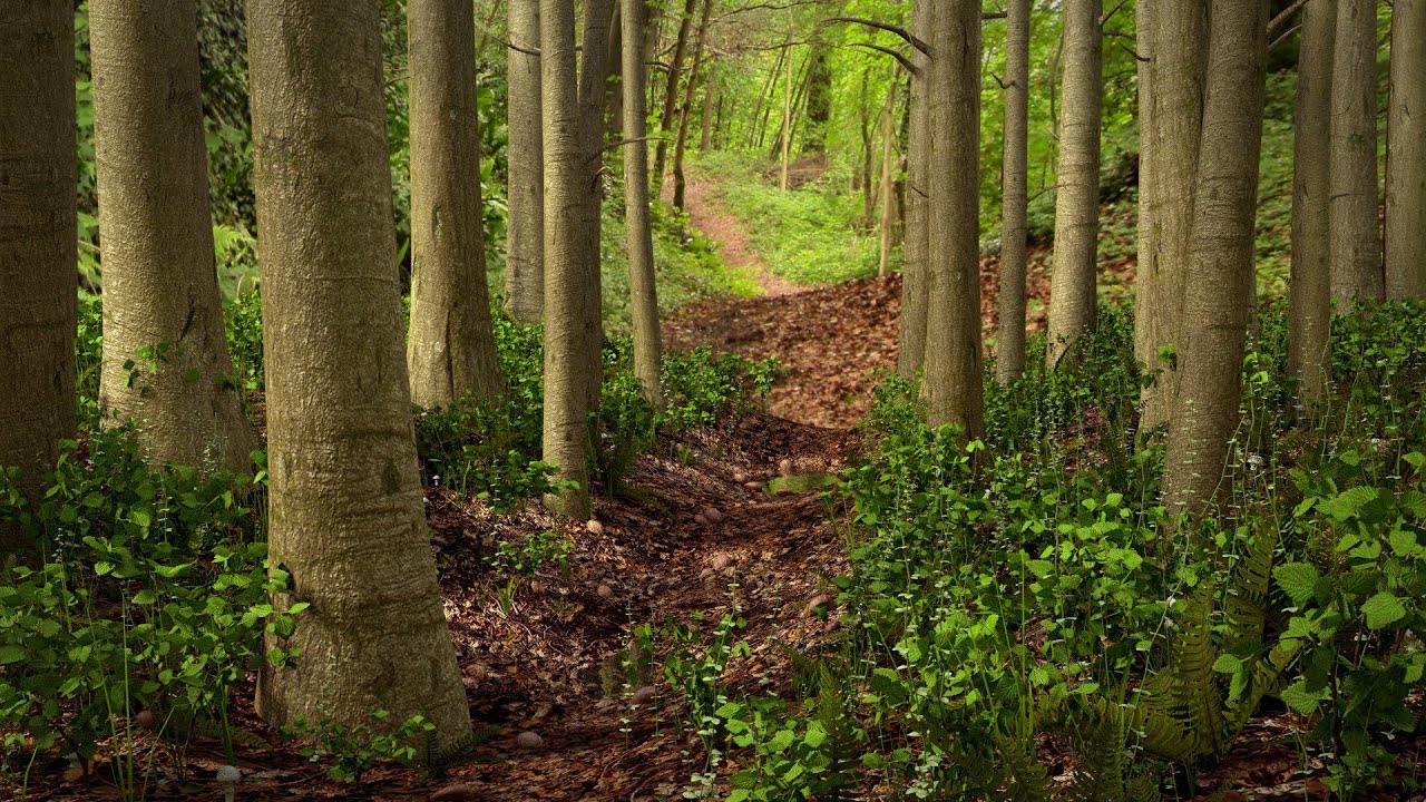Blender 2.67 Tutorial - Creating a Woodland Path - Part 1