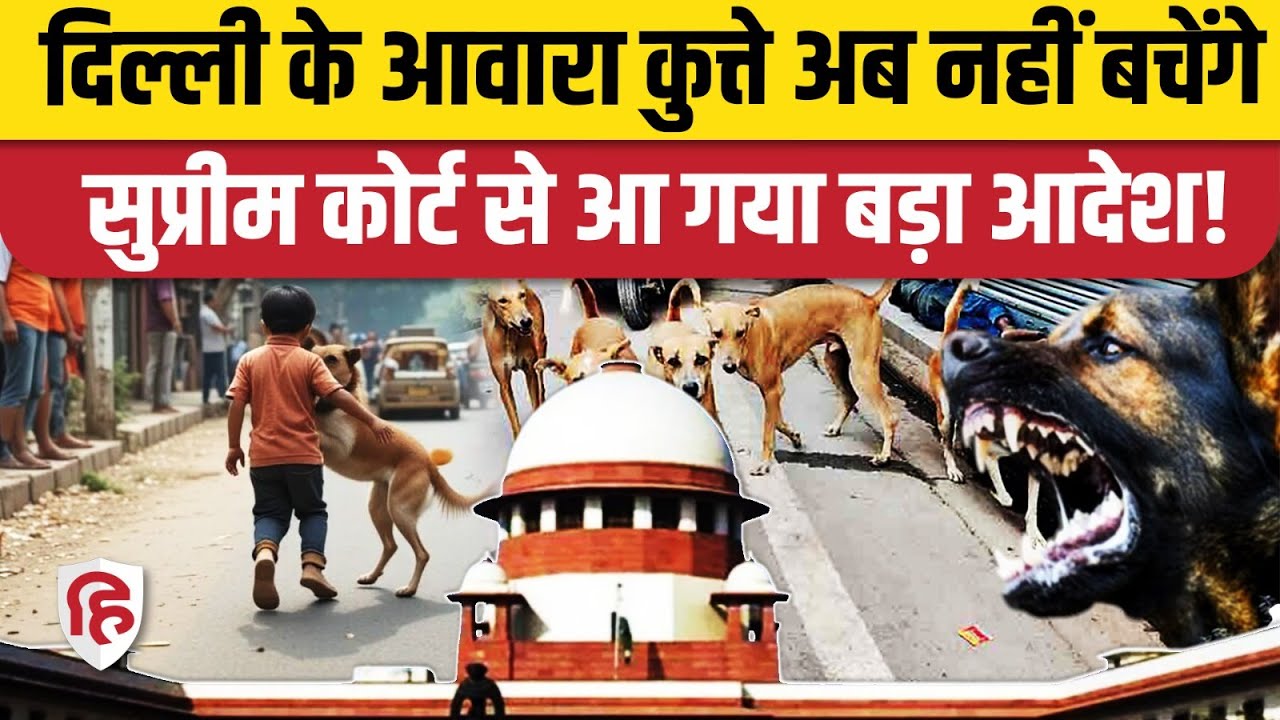Supreme Court on Stray Dogs: बढ़ते Dog Bite Cases के बाद अदालत ने दिया बड़ा आदेश। Dog Lovers