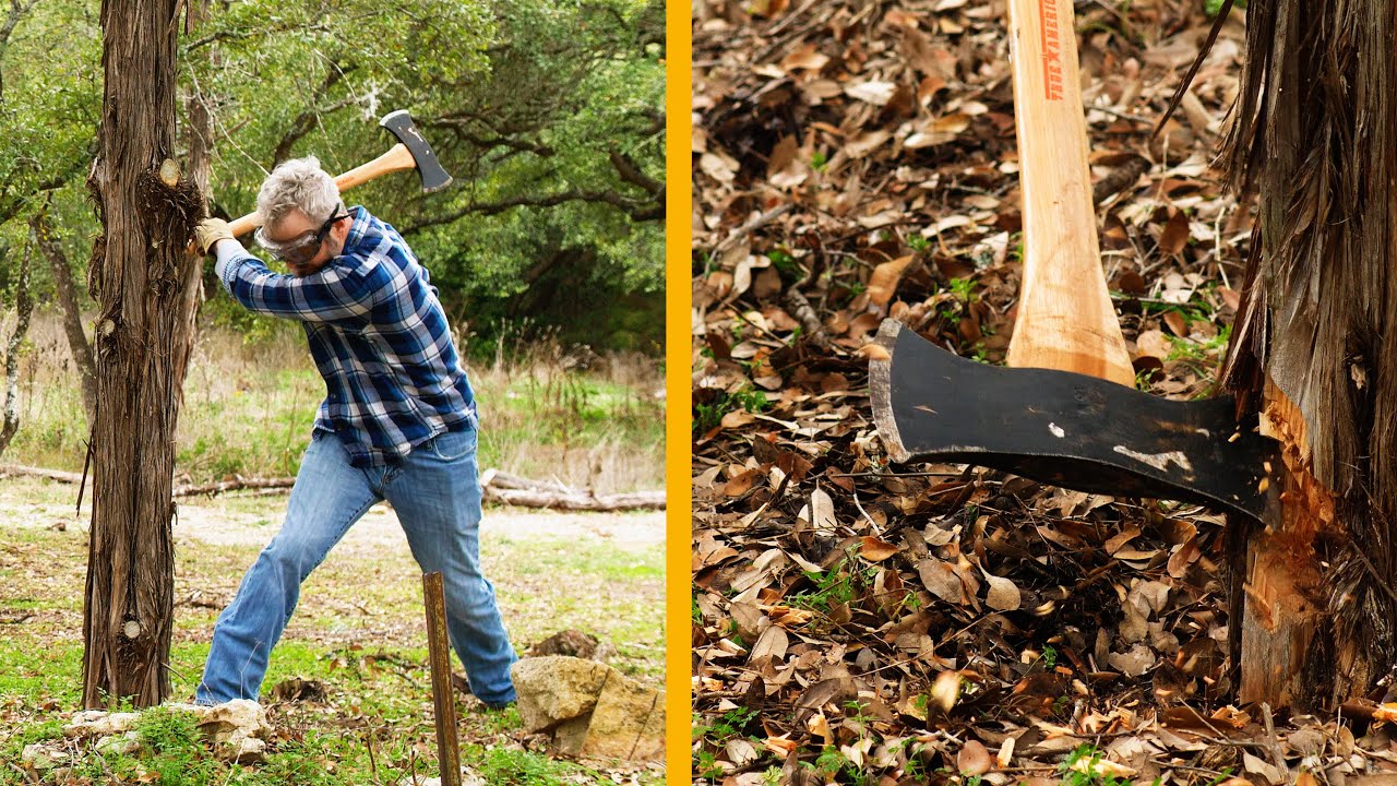 Pretty Much How to Chop Down a Tree
