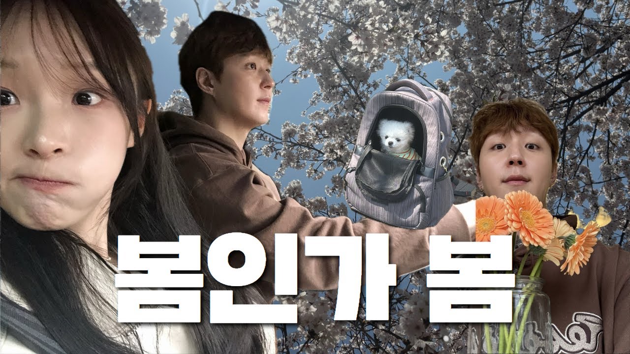 봄인가 봄 🌸⎜한강산책 후 요리⎜머리색 바꾸기