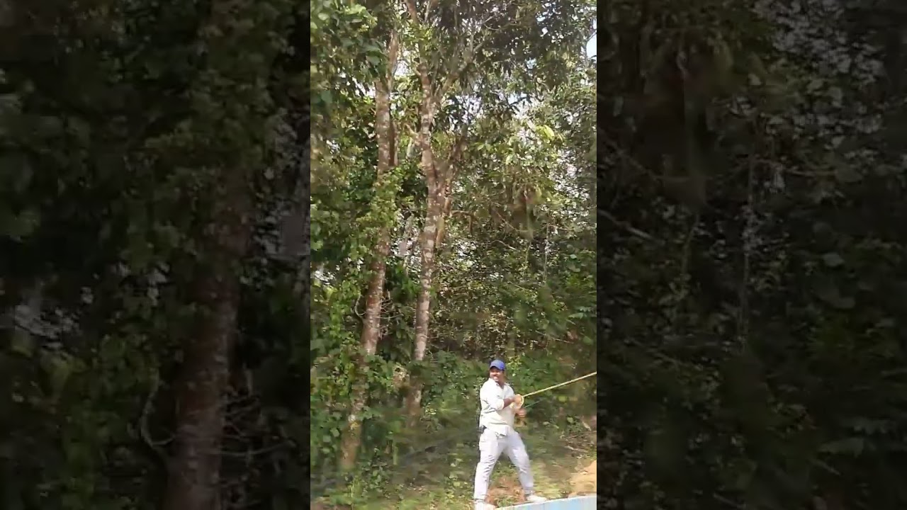 Vythiri adventure Park