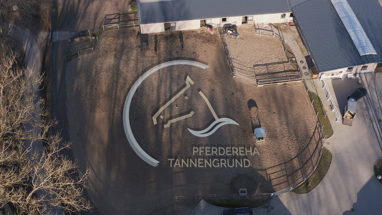 Pferdereha Tannengrund