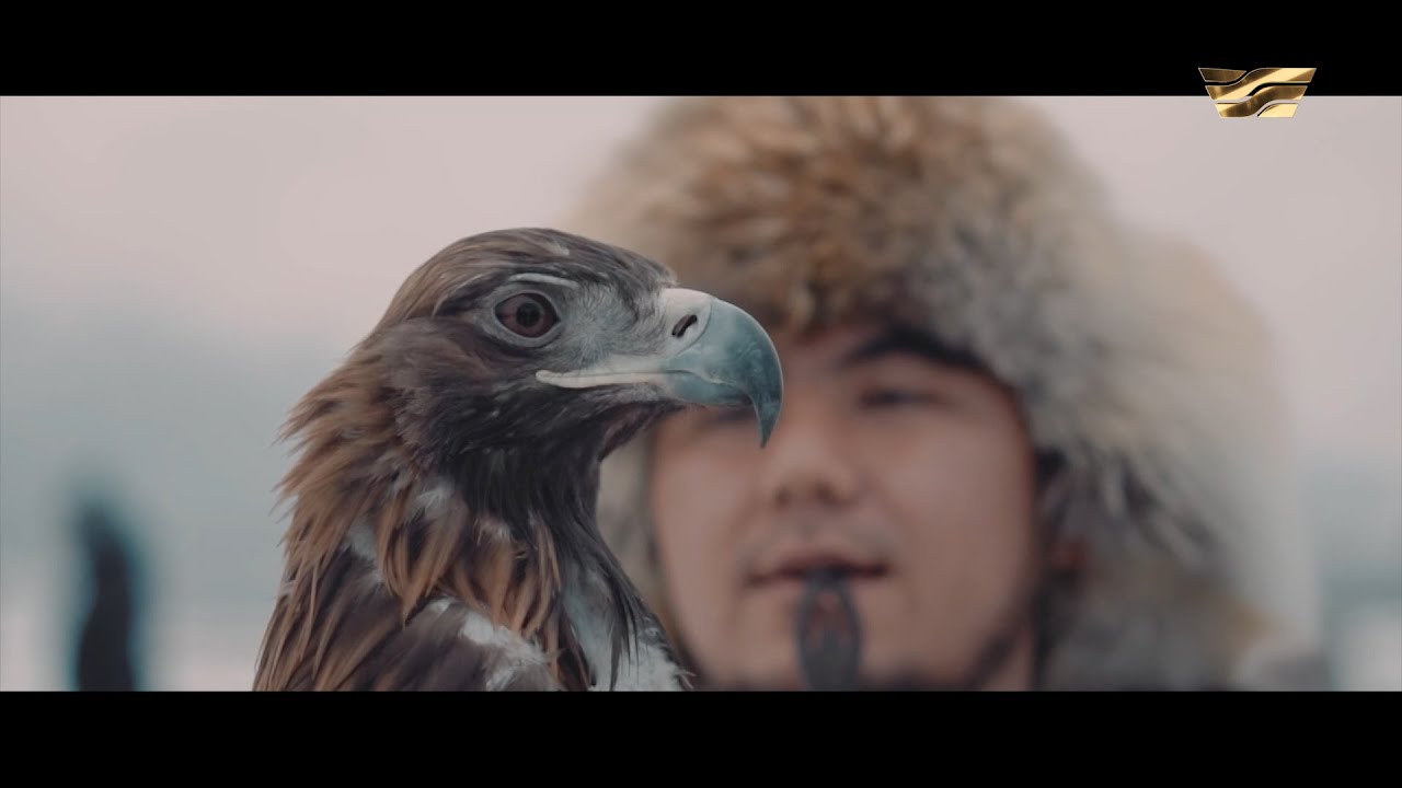 Құсбегілік – қазақтың қанына сіңген қасиетті өнер