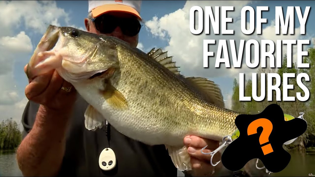 One of My Favorite Lures