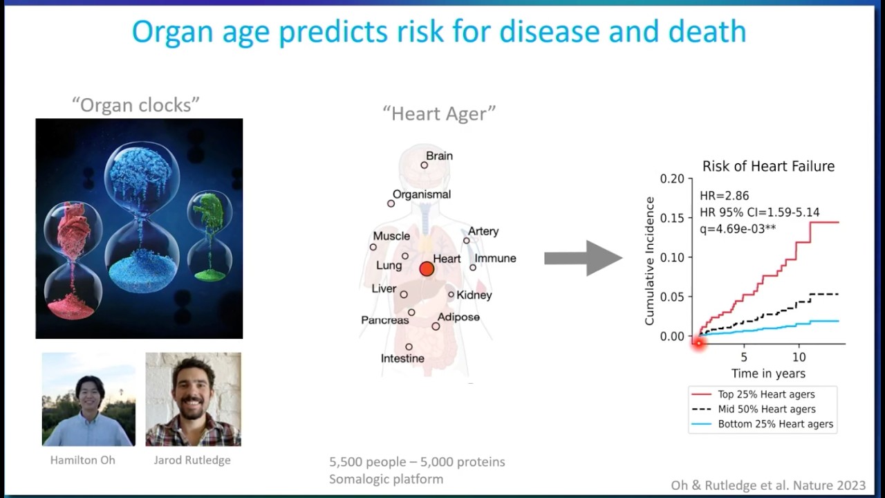 Millions of Reports and AI Detects Biological Ages Across Multiple Organs