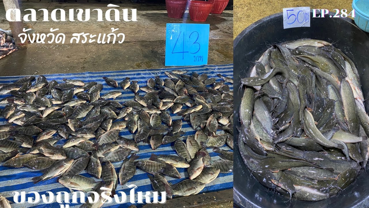 ตลาดเขาดิน จังหวัดสระแก้ว เขาว่าของถูก / เศรษฐี ไม่มีนาย EP.284