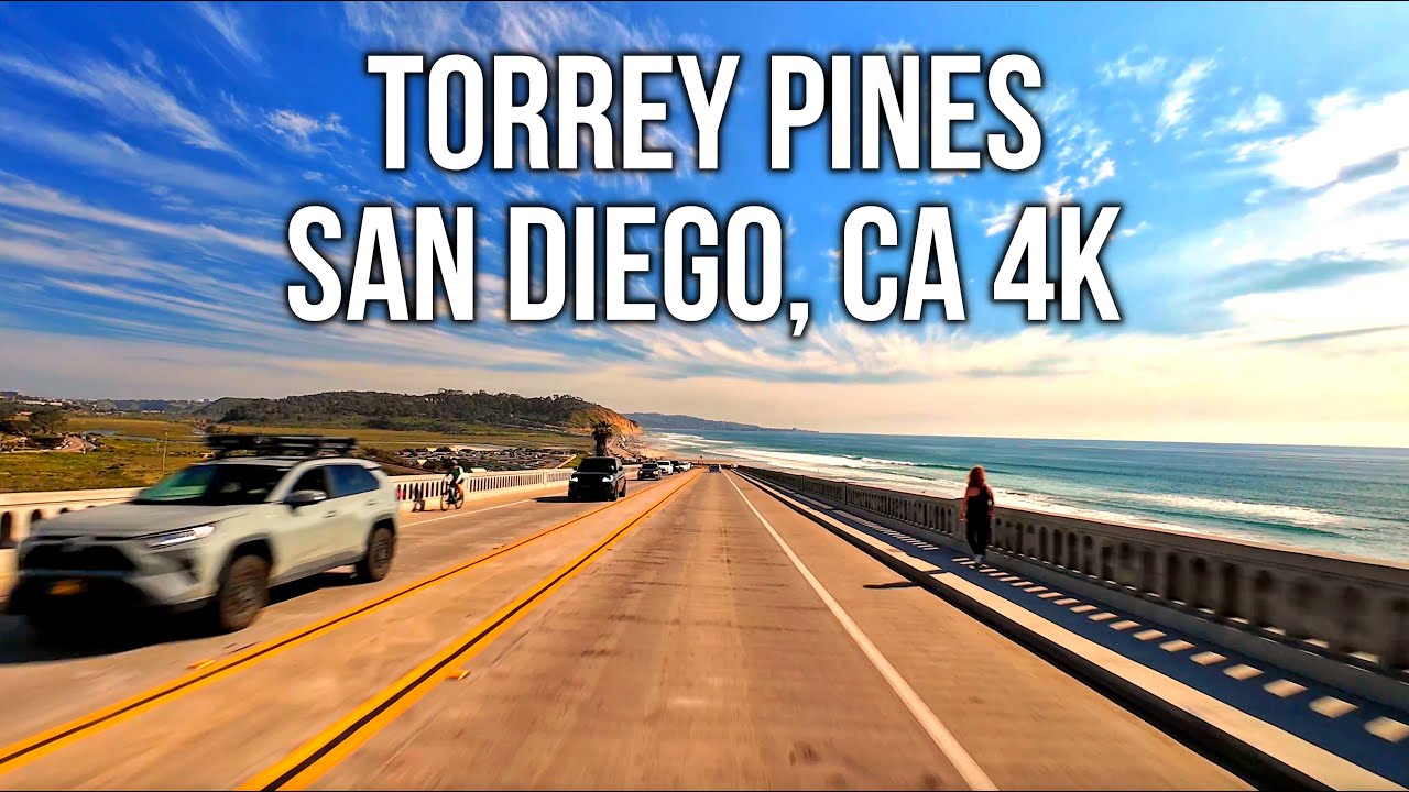 Torrey Pines in San Diego, Pacific Coast, California | ASMR 4K Relaxing Driving Video