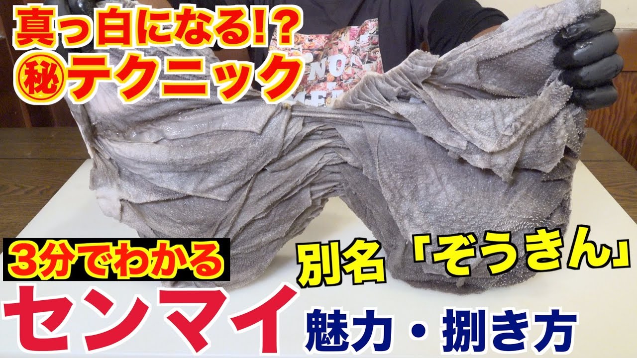 【白くなる!?】センマイの処理、焼肉屋のテクニック教えます!!
