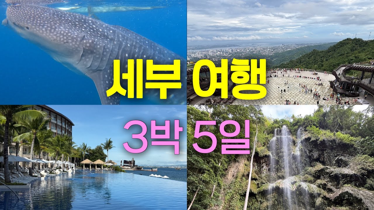 [세부 여행 3박 5일] 두짓타니 세부, 호핑투어, 오슬롭 고래상어, 투말록 폭포, 마젤란 크로스, 산페드로 요새, 시라오 픽토리얼 가든, 탑스힐 전망대