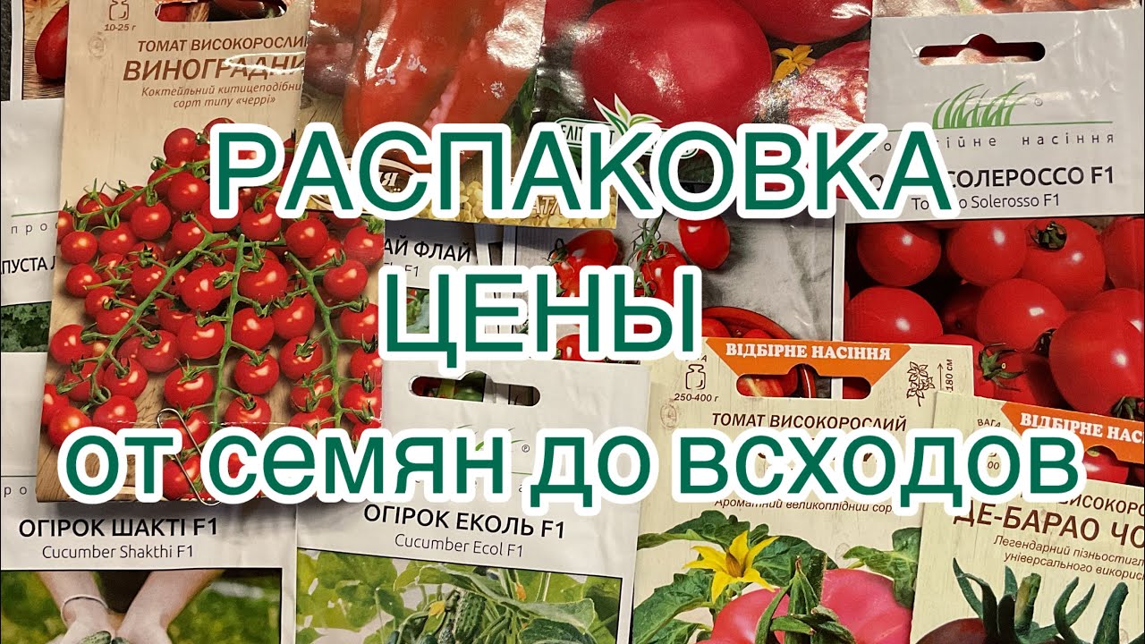 Посылки семян, распаковка, первые всходы 