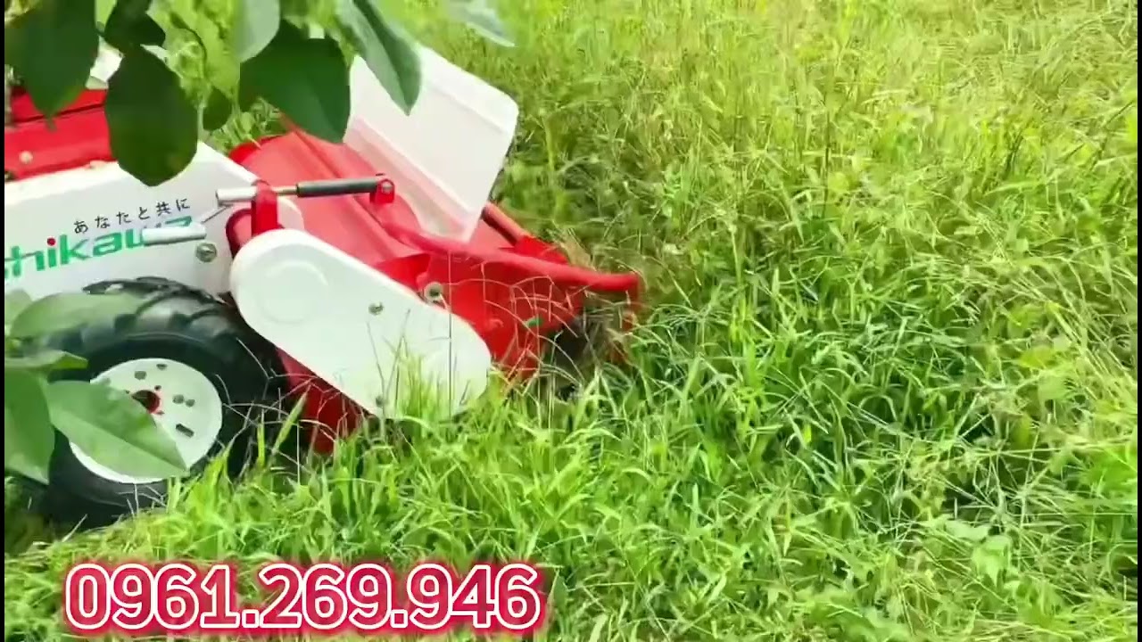 Máy quật cỏ trục băm MS662 động cơ Mitsubishi 10HP