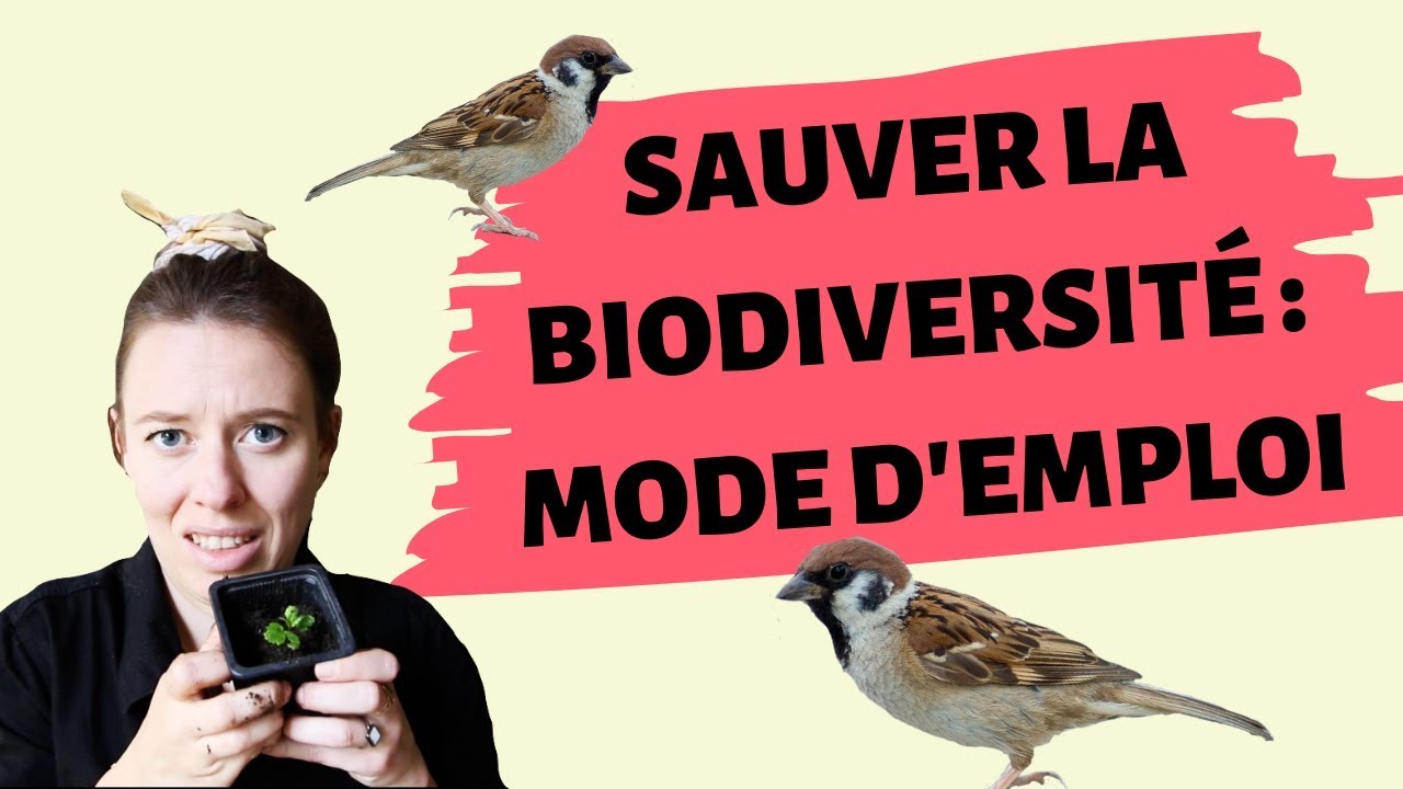 SAUVER LA BIODIVERSITÉ : MODE D'EMPLOI #GGGG EP10