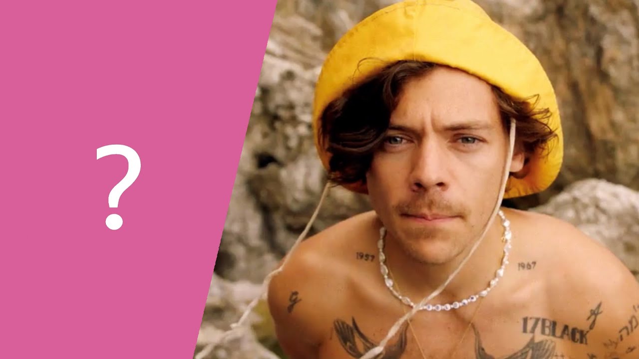 Guess The Harry, Liam, Louis, Niall and Zayn Song By One Photo #2