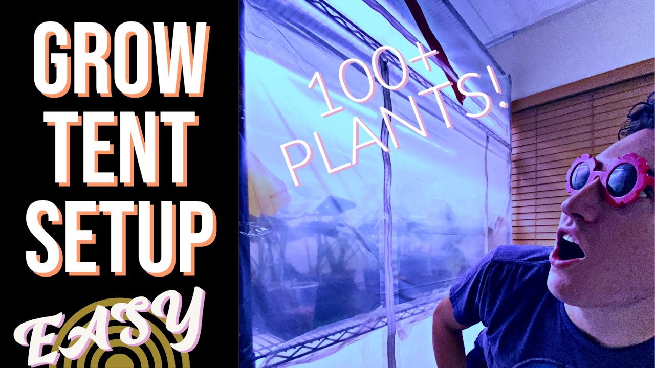 DIY Grow Tent - My New Rare Tropical Greenhouse