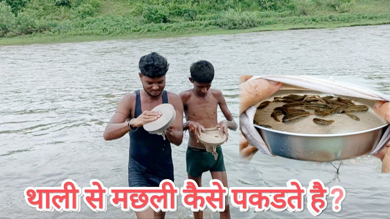 थाली से मछली कैसे पकडते है ? | how to catch fish from plate | #Banjara chhora s rathod