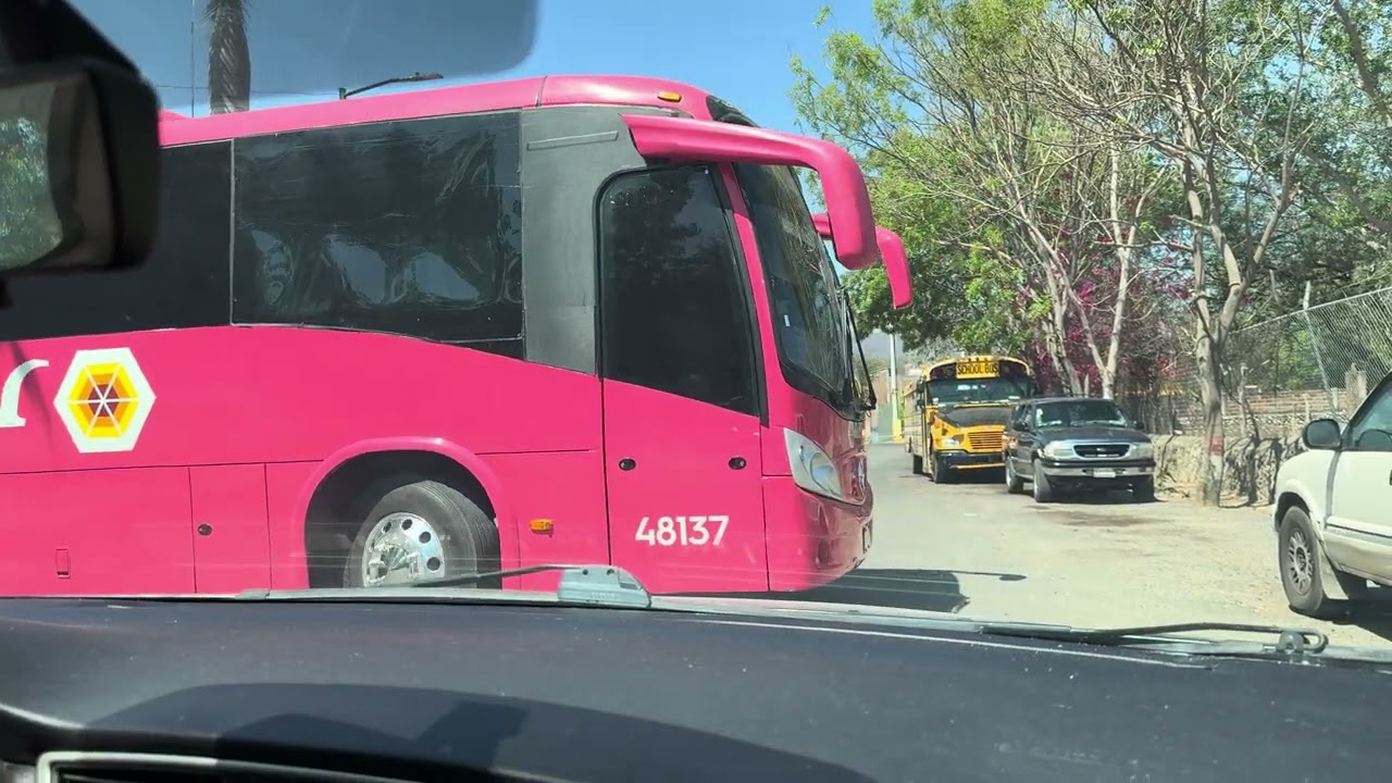 Amatlan de cañas Nayarit