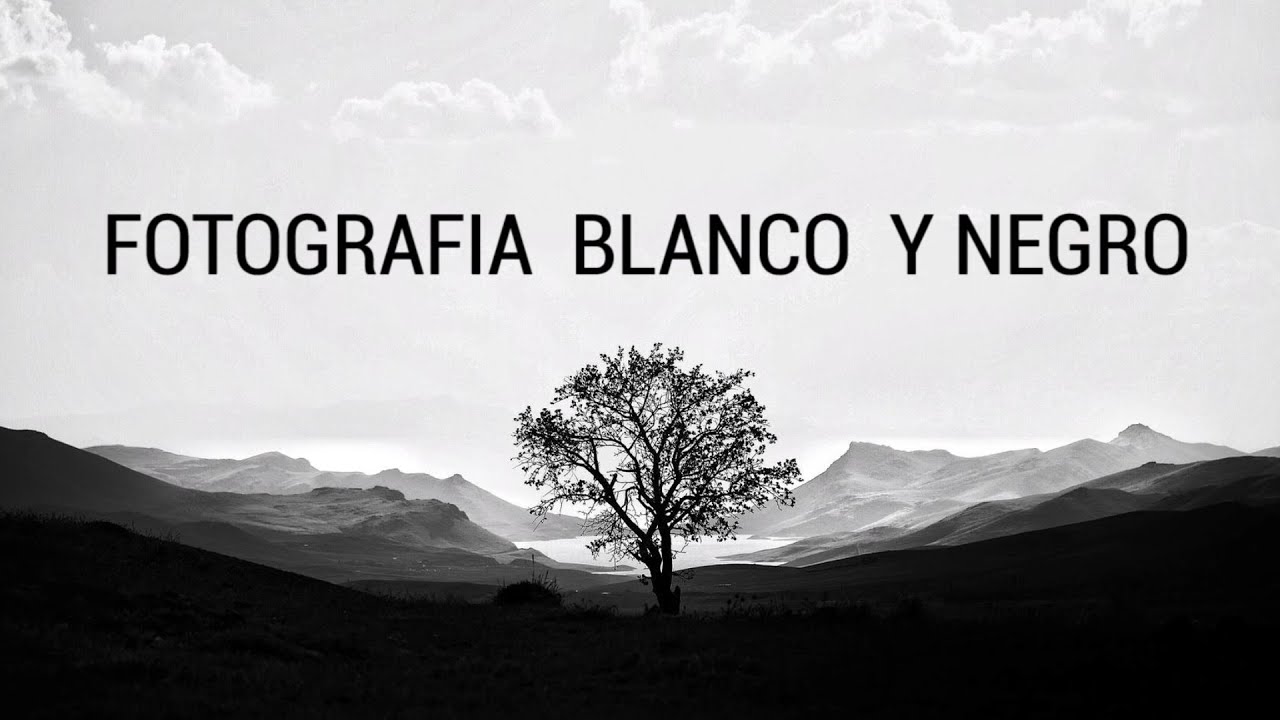 Fotografía en blanco y negro