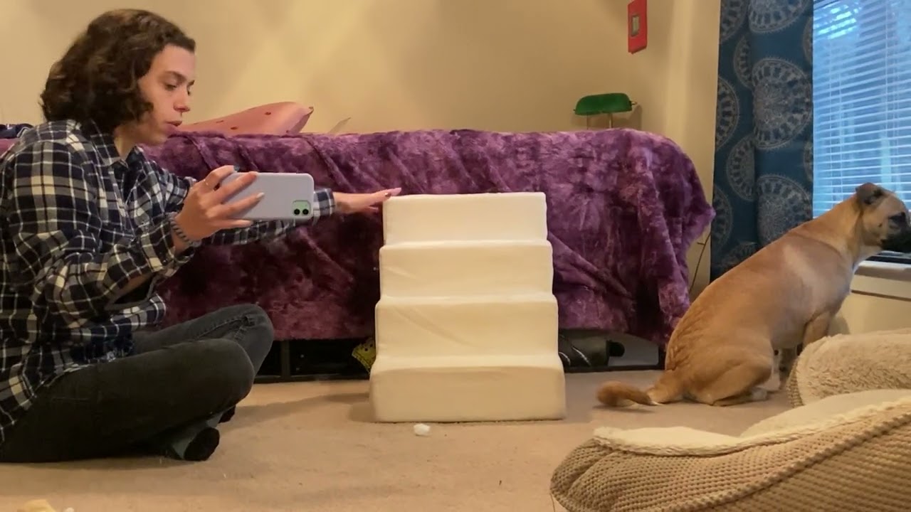 Best Pet Supplies Foam Pet Steps for Small Dogs and Cats, Portable Ramp Stairs for Couch, Sofa