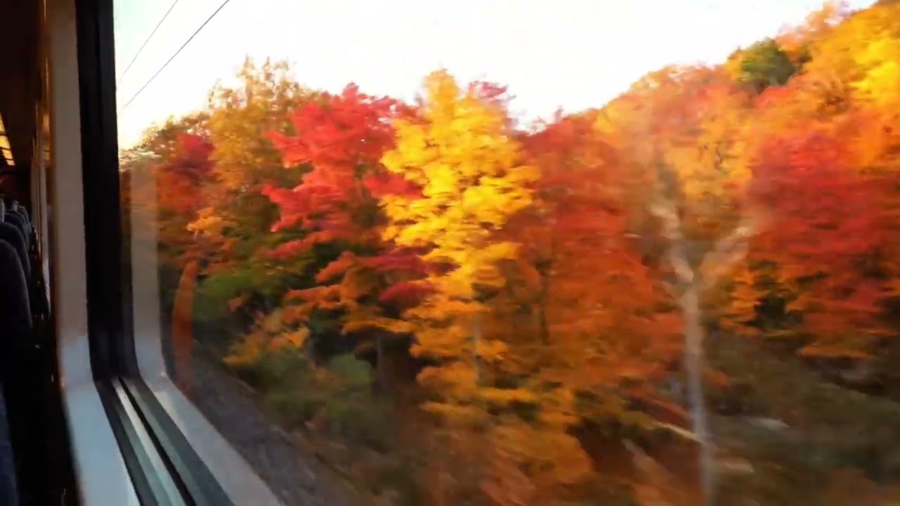 POV Train Ride Through Fall Foliage | ASMR Ambience