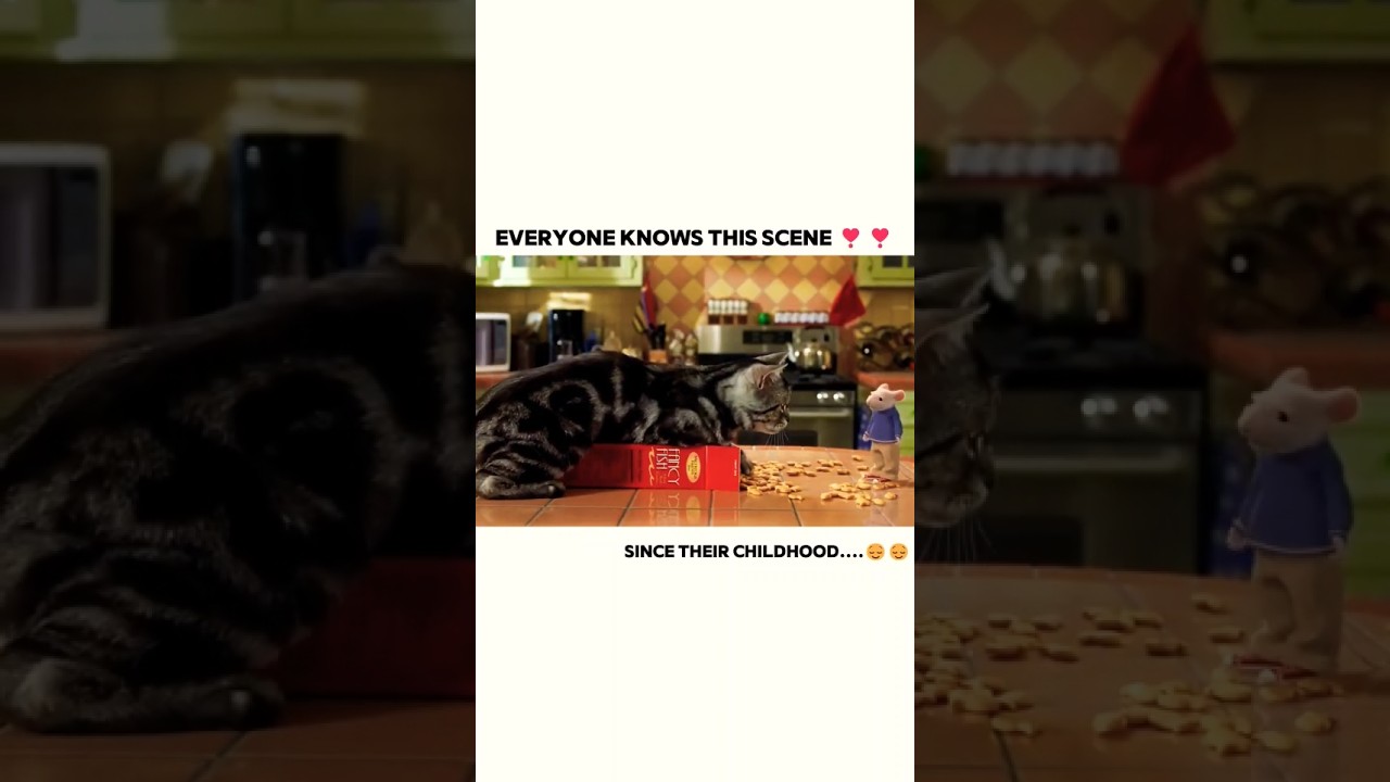 Stuart Little funny scene in Hindi