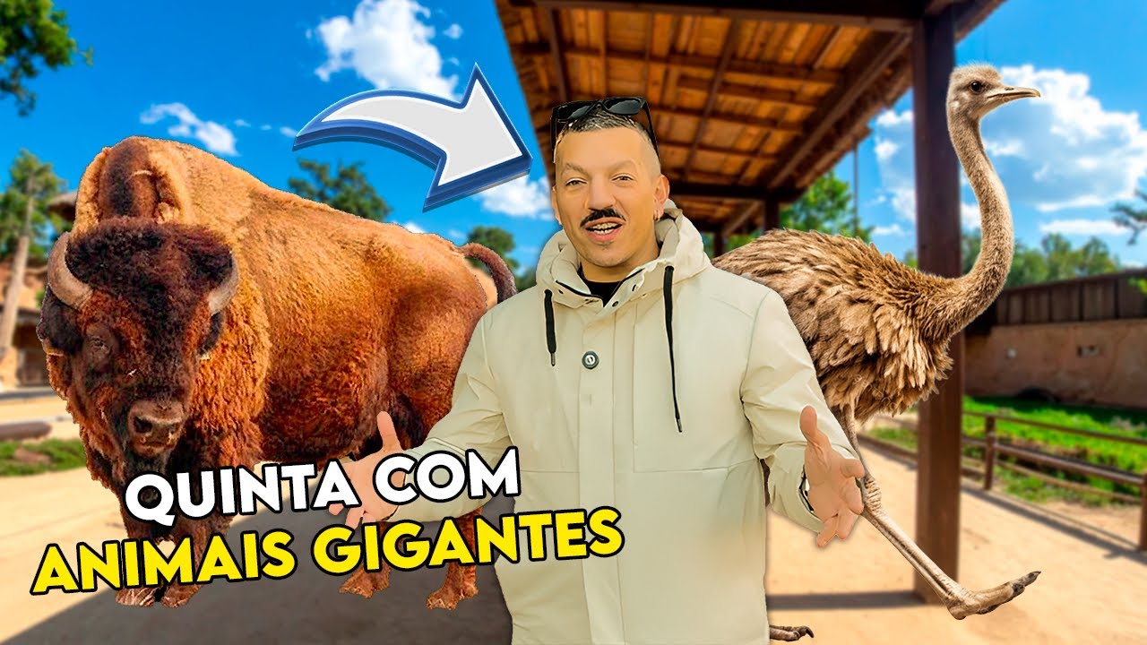 QUINTA COM ANIMAIS GIGANTES! EUAKSOU SELVAGEM