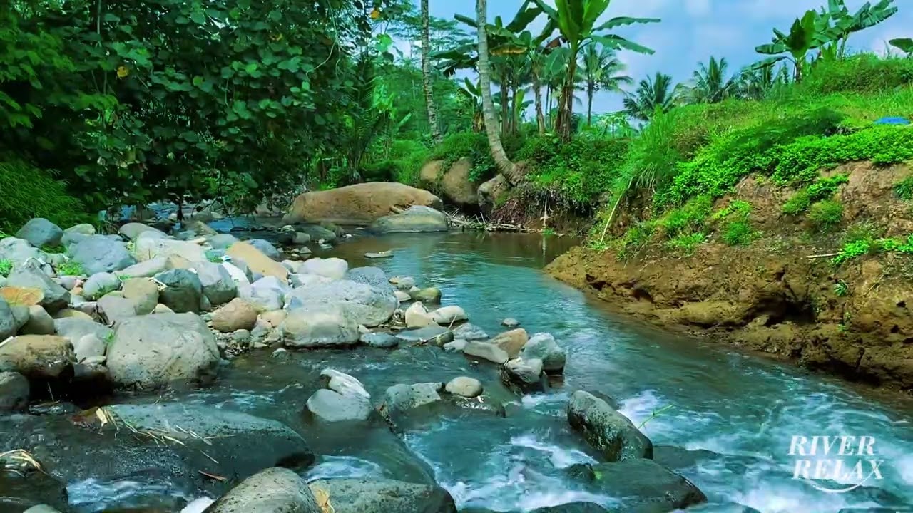 River Sound for Sleeping 🌙 | Soft Flowing Stream to Calm the Mind and Sleep Peacefully