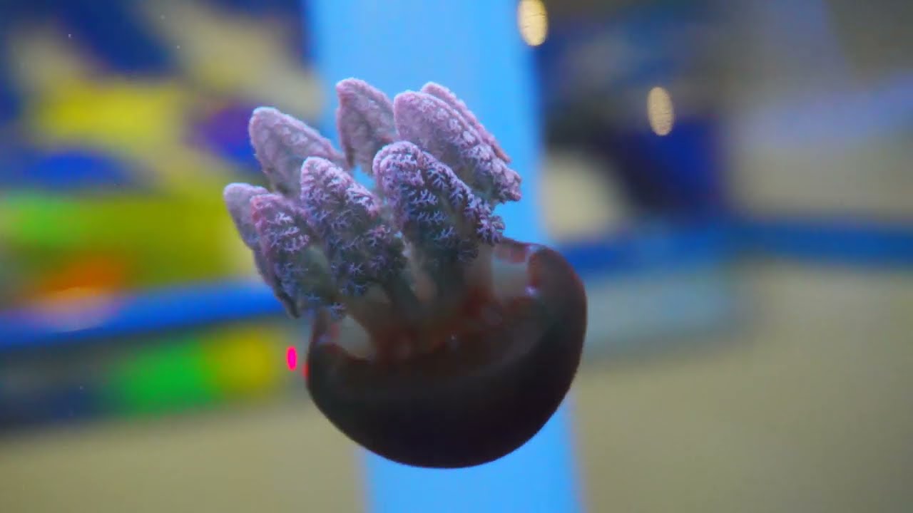 2　テスト　熱停止