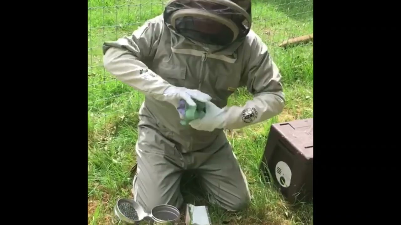 How to use a smoker