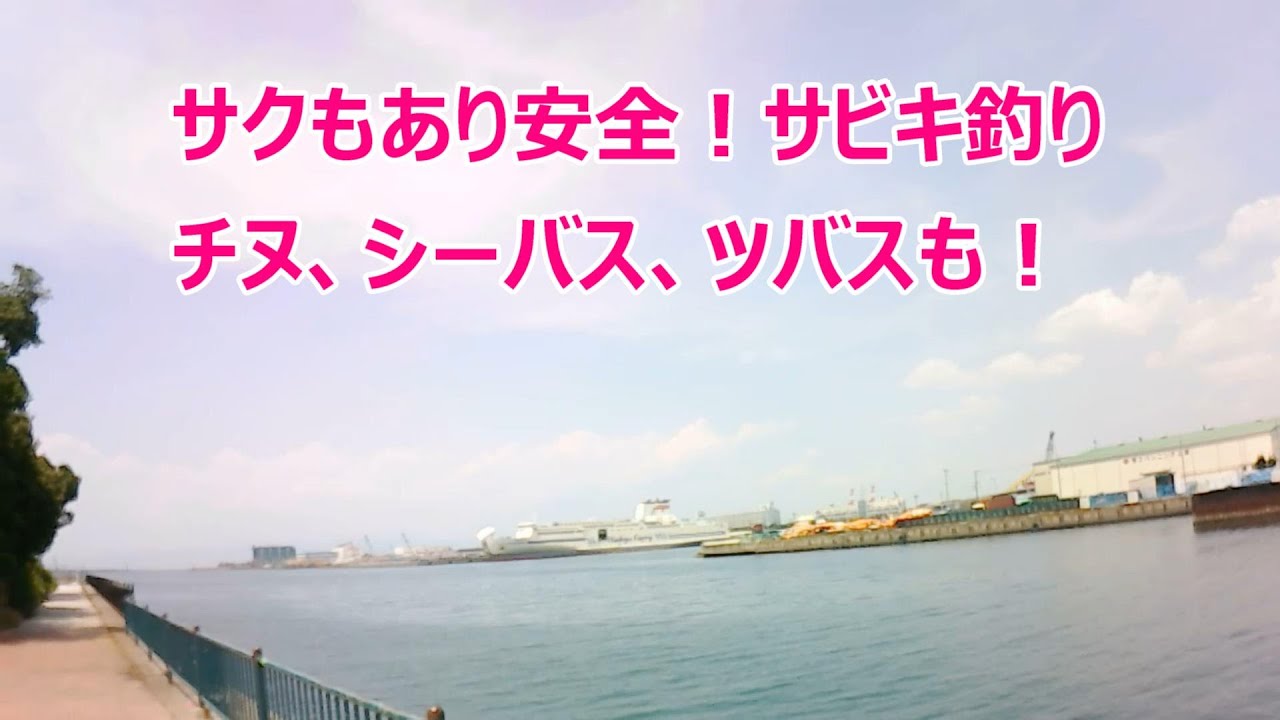 大阪でバーベキュー出来て駐車場無料、　トイレもキレイ、青物、タチウオ、チヌ、アジ、サバ、イワシ、タコ、シーバスが釣れる、泉大津なぎさ公園紹介❗