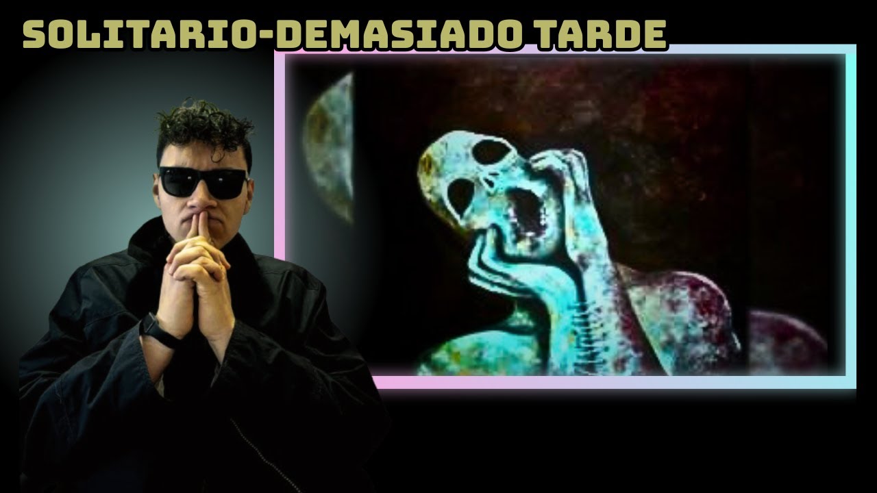 REACCION SOLITARIO-DEMASIADO TARDE (ANALISIS)