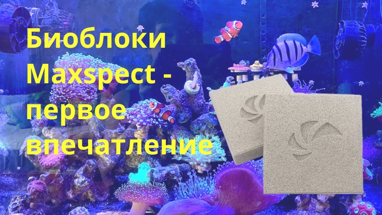 Патч-Риф модернизация сампа, биоблоки Maxspect