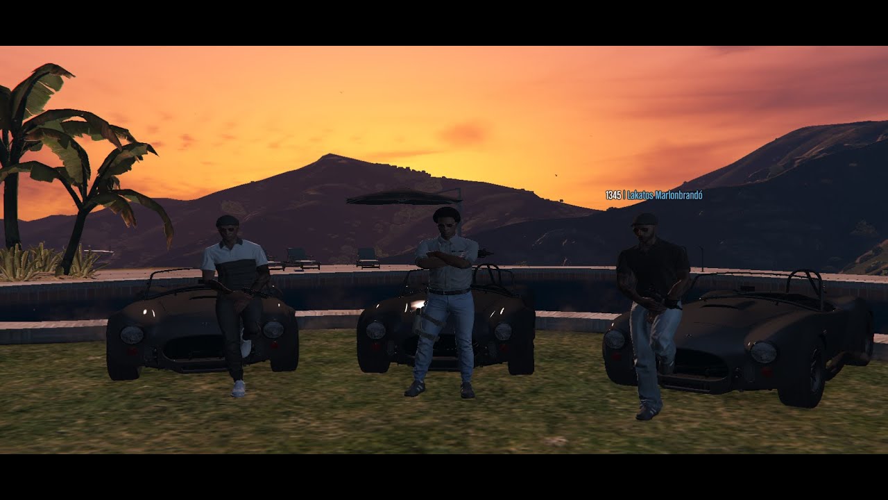 WLS GTA V RP // Montage // Camo // !.Csabi // patriksz. X Kleiner Cabron