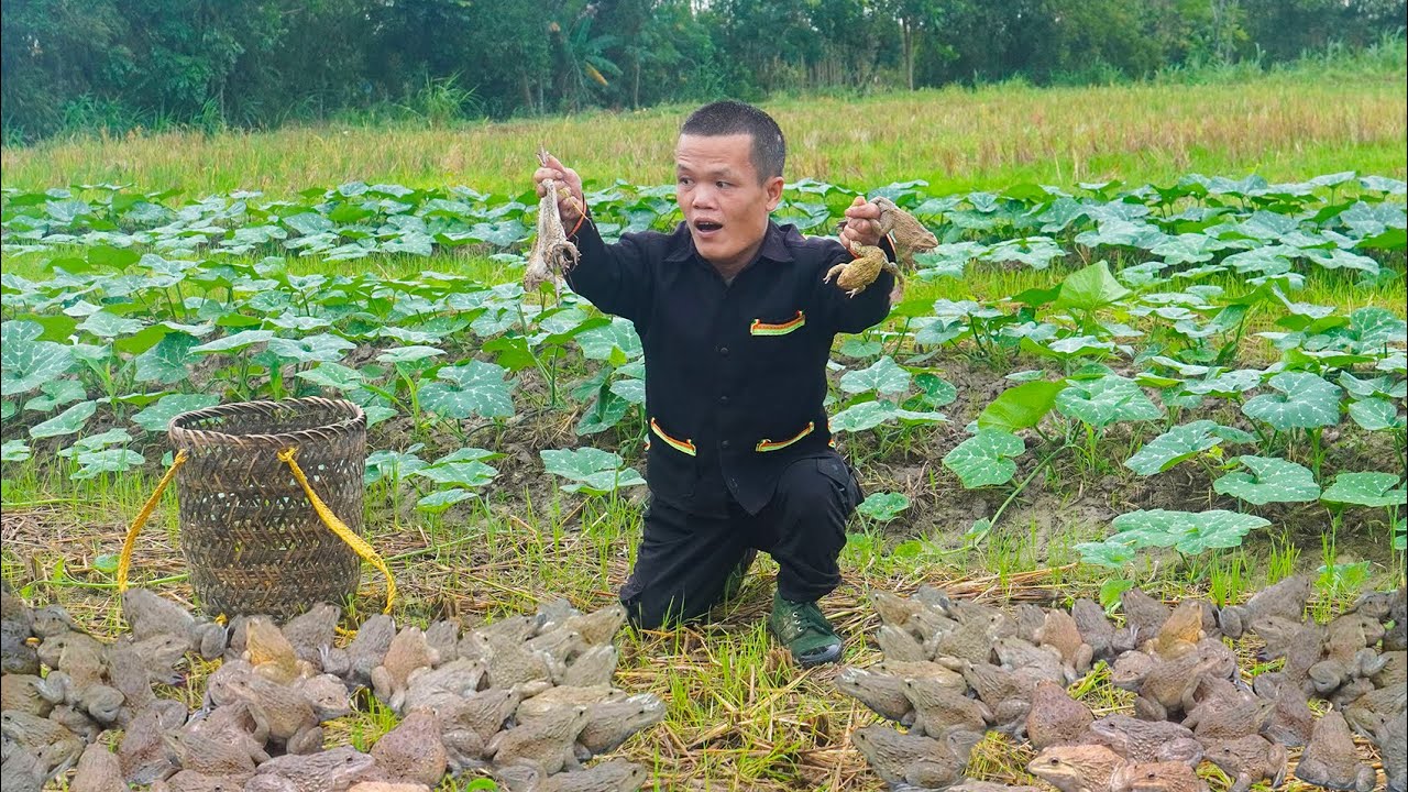 Dwarf Family Catches and Grills Field Frogs - Field Frogs in the Wild - Primitive Life