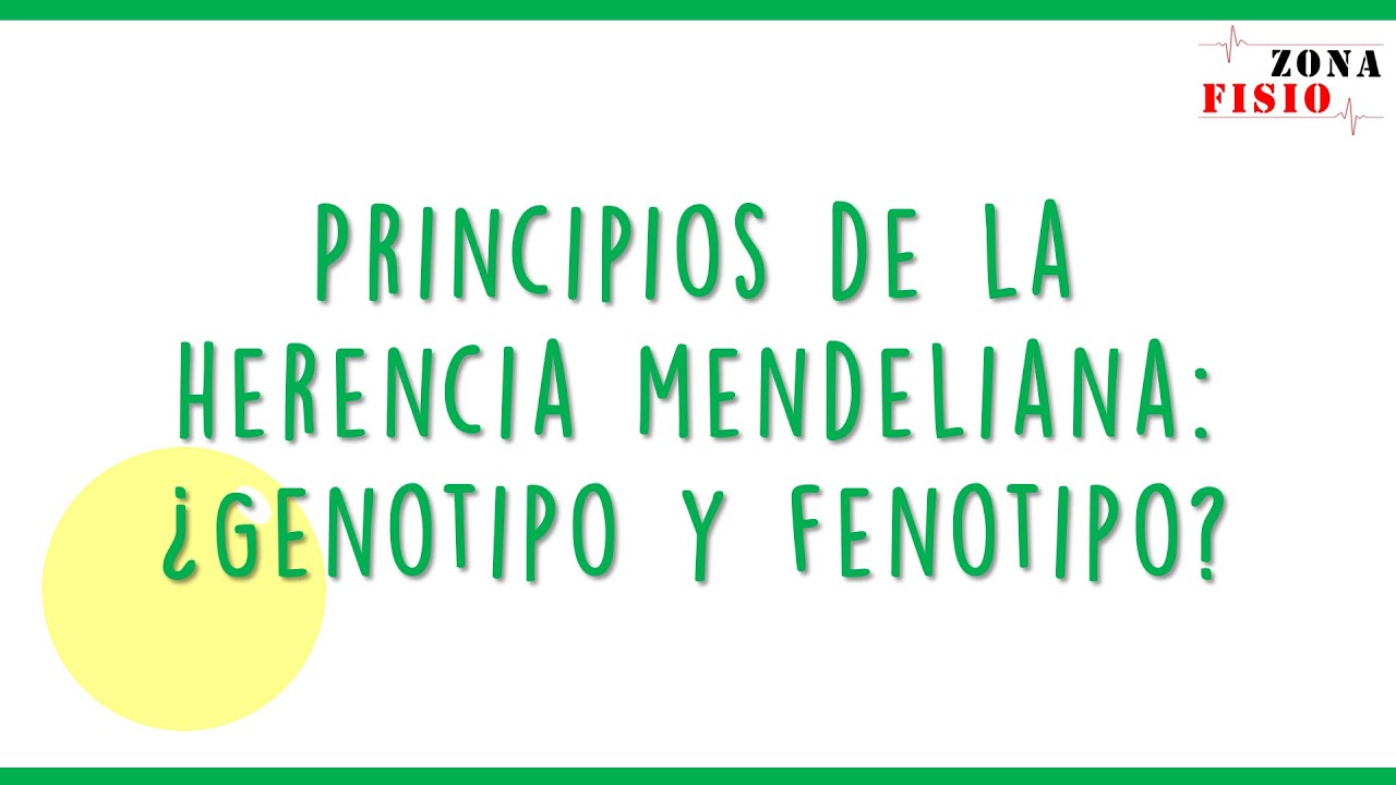 GENÉTICA: PRINCIPIOS DE LA HERENCIA MENDELIANA, GENOTIPO Y FENOTIPO