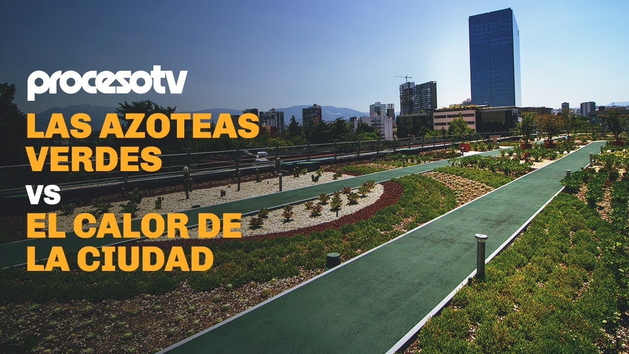 Las azoteas verdes vs el calor de la ciudad