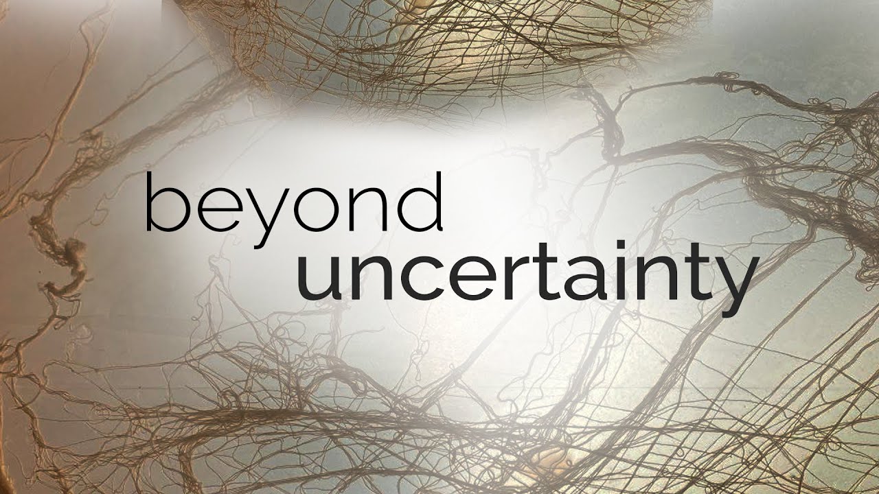 Beyond Uncertainty